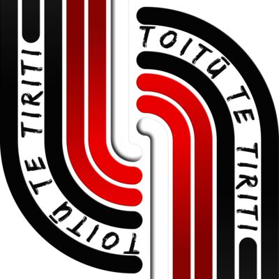 Toitū Te Tiriti (3D) x Thumbnail