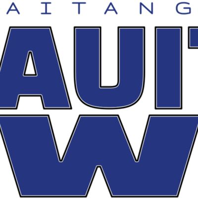 TE AITANGA-Ā-HAUITI IWI Thumbnail